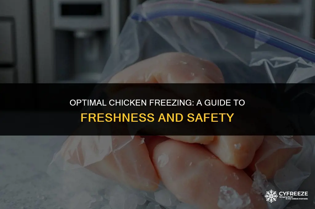 how long to freeze chicken
