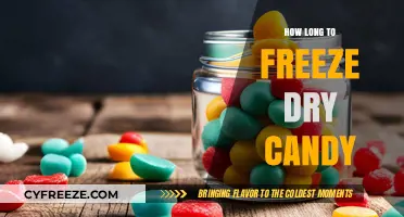 The Sweet Science: Freeze-Drying Candy for Optimal Preservation