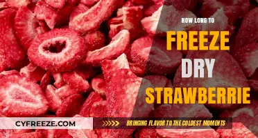 The Ultimate Guide to Freeze-Drying Strawberries: Time and Tips