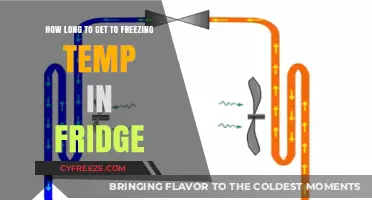 Chill Factor: The Ultimate Guide to Rapid Refrigeration