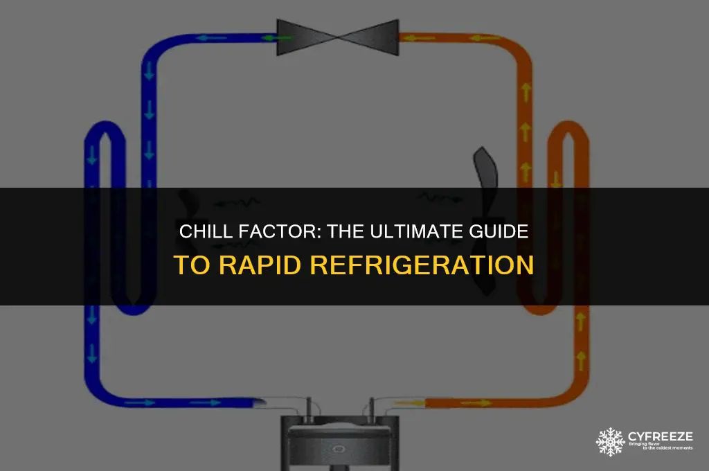 how long to get to freezing temp in fridge