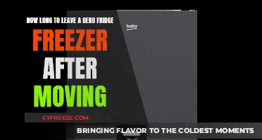 Relocating Your Beko Fridge Freezer: Optimal Waiting Time Guide