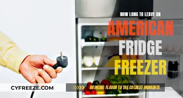 Optimal Unplug Time: American Fridge Freezer Energy Efficiency Tips