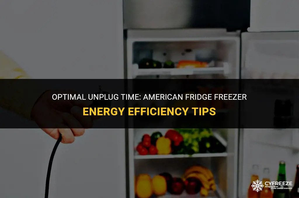 how long to leave an american fridge freezer