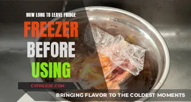 Safe Thawing: How Long to Leave Your Fridge Freezer Before Using