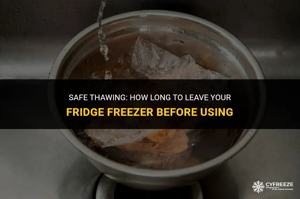 how long to leave fridge freezer before using