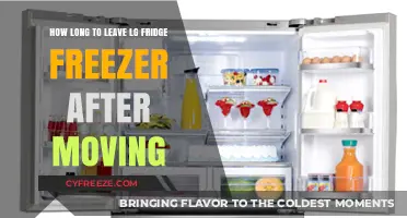 Settling In: Optimal Time to Plug In Your LG Fridge After Moving