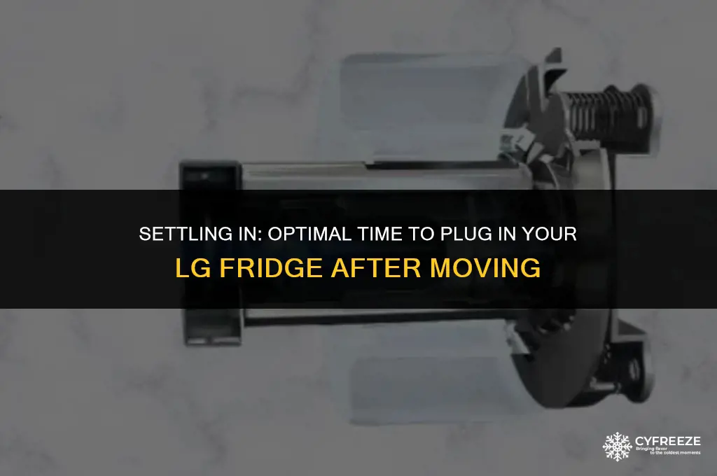 how long to leave lg fridge freezer after moving