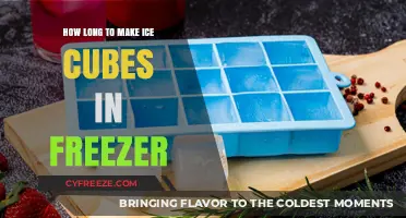 Chill Out: The Ultimate Guide to Perfect Ice Cubes