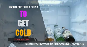 Chill Your Brew: The Ultimate Guide to Freezing Beer Quickly