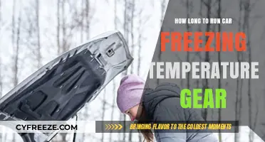 Running Your Car in Freezing Temps: Optimal Gear Duration Explained
