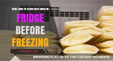 Maximizing Freshness: Optimal Timing for Storing Beat Milk Before Freezing