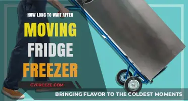 Optimal Waiting Time After Relocating Your Fridge Freezer: A Guide