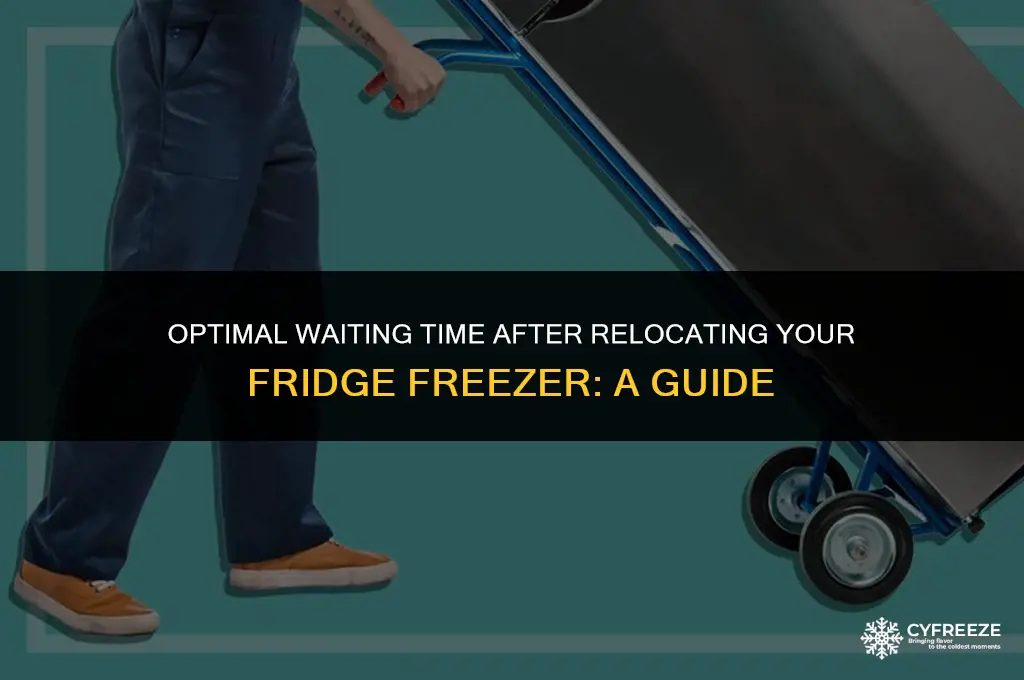 how long to wait after moving fridge freezer