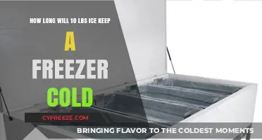 Chill Retention: The 10-Pound Ice Block's Freezer Lifespan Explained