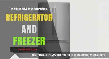 Powering Your Fridge and Freezer: A 3000 Wh Battery's Lifespan