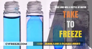 Chill Factor: The Surprising Timeline of Water Freezing in a Bottle