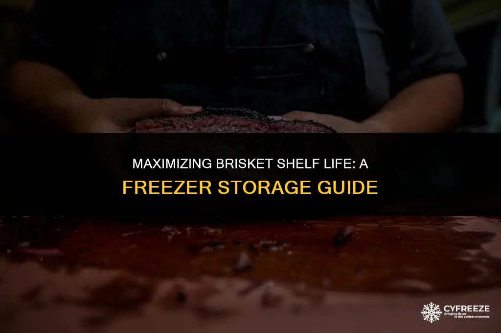 how long will a brisket last in the freezer