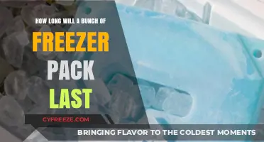 Maximizing Shelf Life: The Ultimate Guide to Freezer Pack Longevity