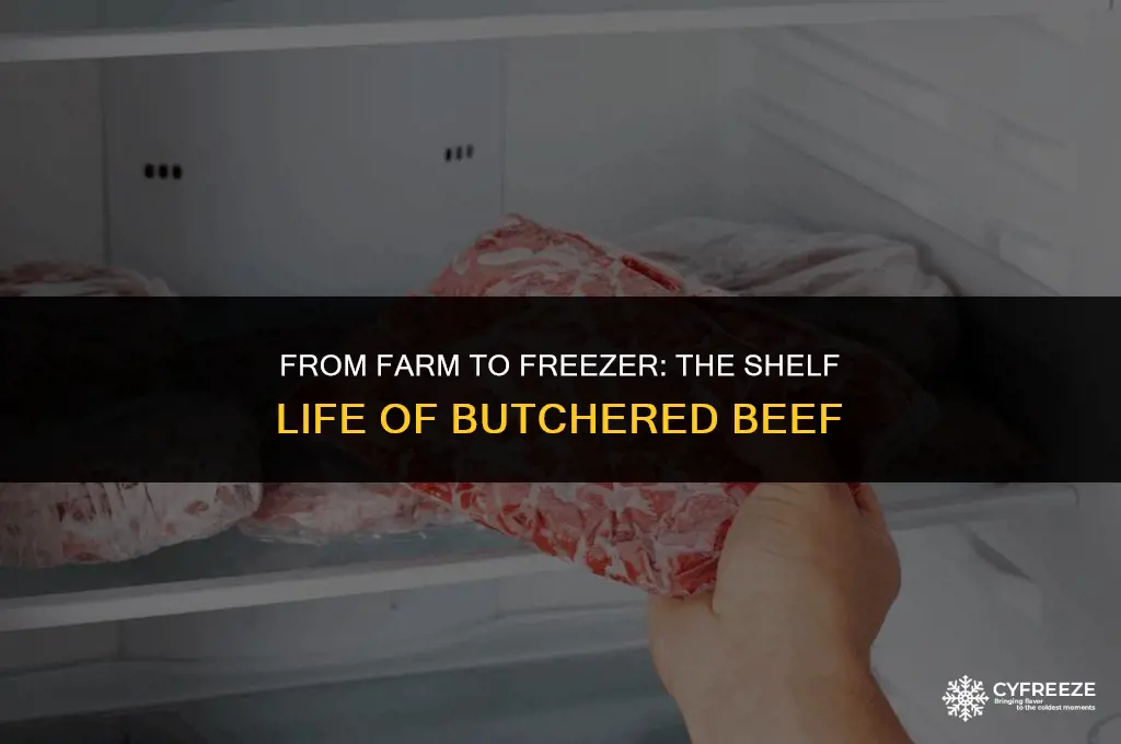 how long will a butchered cow last in the freezer