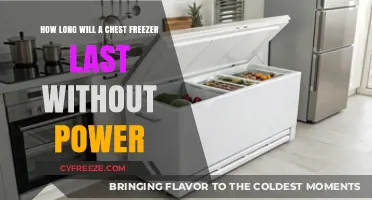 Surviving Power Outages: The Lifespan of Your Chest Freezer