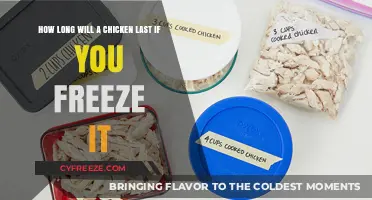 The Ultimate Guide to Freezing Chicken: Shelf Life and Safety Tips