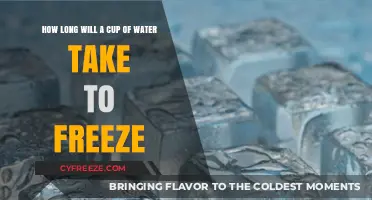 Chilling Insights: The Surprising Time It Takes for Water to Freeze