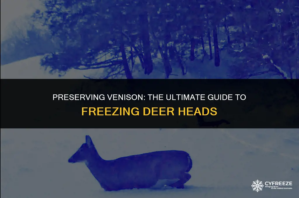 how long will a deer head last in the freezer