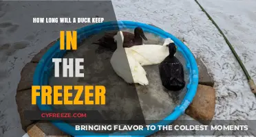 Quack-tastic Preservation: The Ultimate Guide to Freezing Ducks