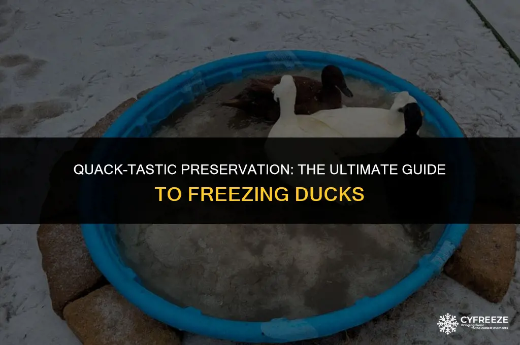 how long will a duck keep in the freezer
