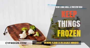 Preserving Freshness: The Ultimate Guide to Freezer Bag Storage