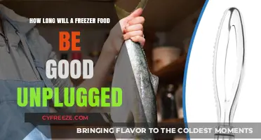 Unplugged Freezer Food: How Long Will It Stay Fresh?