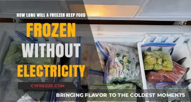 Preserving Perishables: How Long Can a Freezer Maintain Food Safety Without Power?