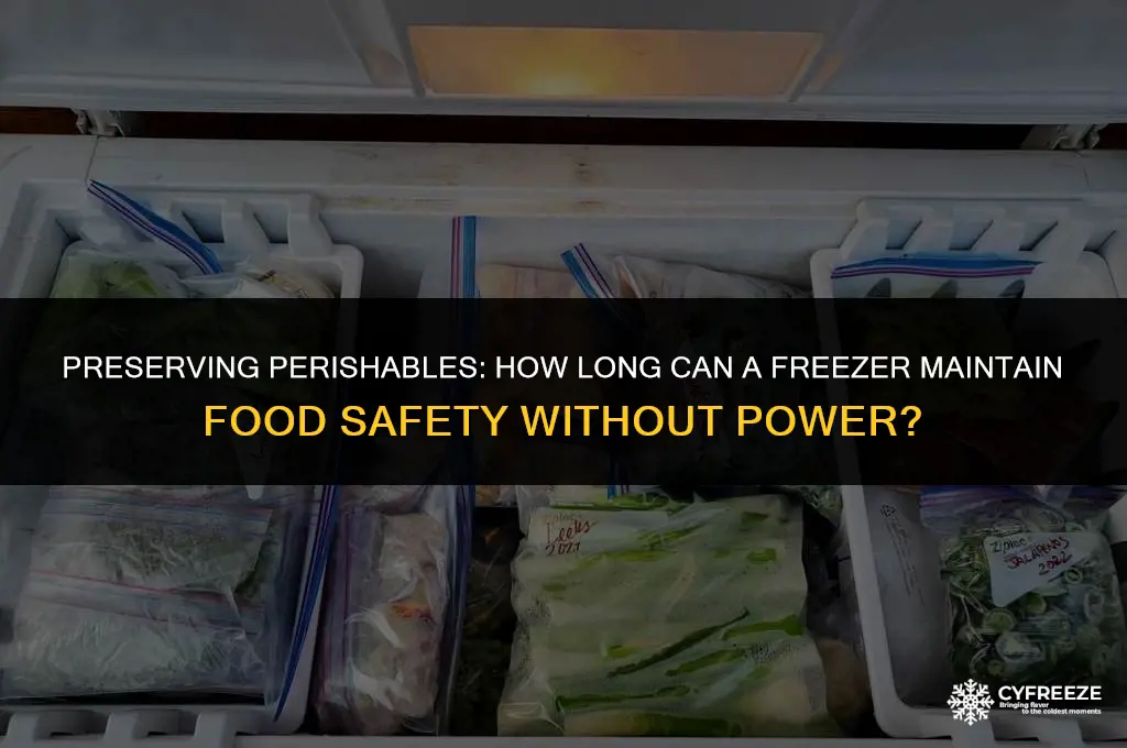 how long will a freezer keep food frozen without electricity
