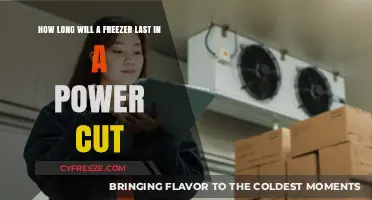 Power Out? Here's How Long Your Freezer Will Survive