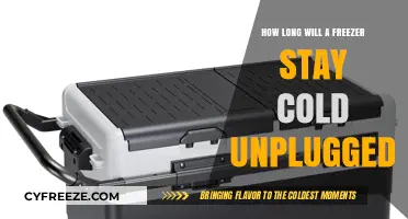 Unplugged Freezer: How Long Will Your Food Stay Safe?