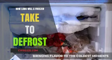 Defrosting Dilemma: The Ultimate Guide to Freezer Thawing Times