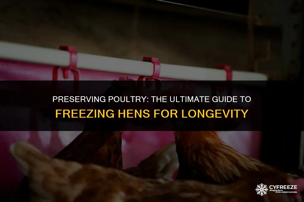 how long will a hen keep in deep freezer