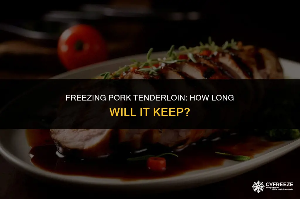 how long will a pork tenderloin keep in the freezer