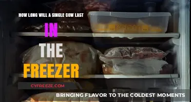 From Farm to Freezer: The Shelf Life of a Single Cow