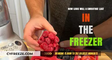 Smoothie Storage Guide: Maximizing Freshness in the Freezer