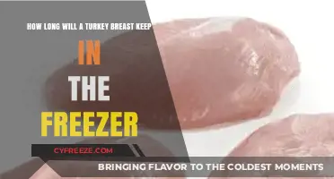 Freshness Preserved: The Ultimate Guide to Freezing Turkey Breast