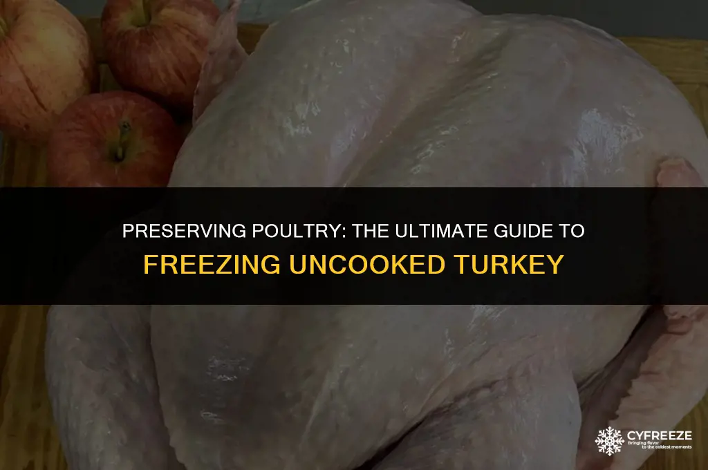 how long will a uncooked turkey last in the freezer