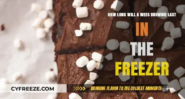 Freezing Brownies: A Guide to Long-lasting Chocolate Bliss