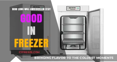 Maximizing Amoxicillin Shelf Life: Freezer Storage Insights