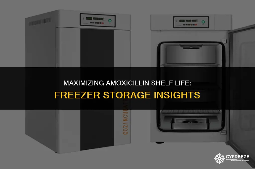 how long will amoxicillin stay good in freezer