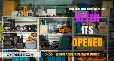 Maximizing Antifreeze Lifespan: Tips for Proper Storage and Usage
