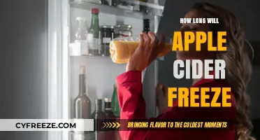 Chill or Spill: The Surprising Truth About Freezing Apple Cider