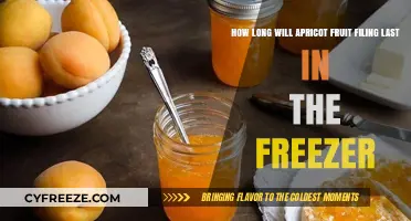 Preserving Sweetness: The Ultimate Guide to Freezing Apricot Fruit Filling