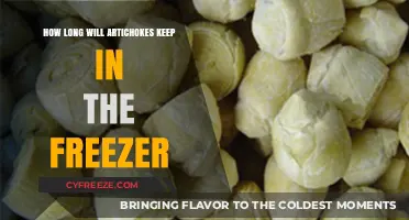Freshness Preserved: The Ultimate Guide to Freezing Artichokes